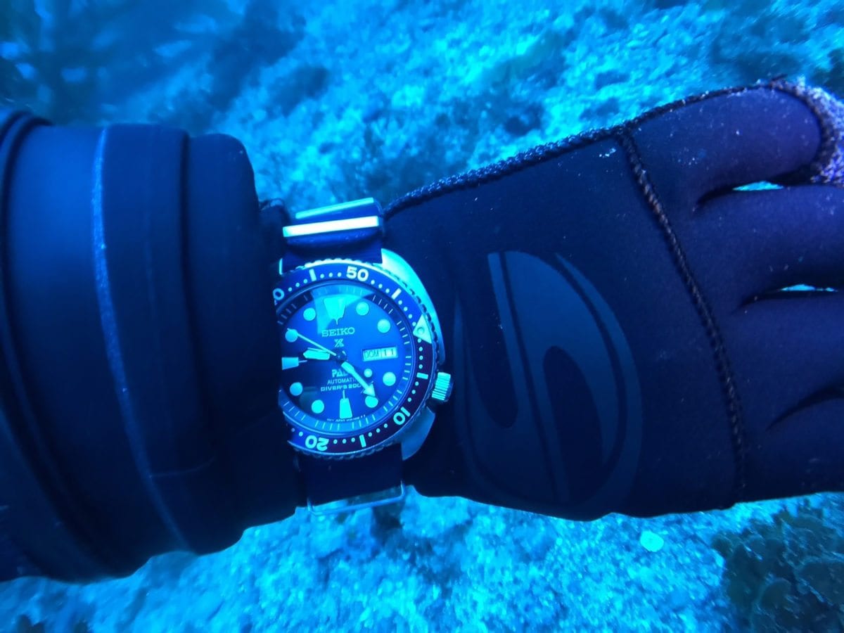 Dive Watches: Seiko SRPA21