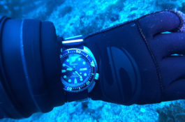 Dive Watches: Seiko SRPA21